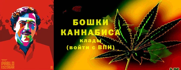 бошки Ладушкин