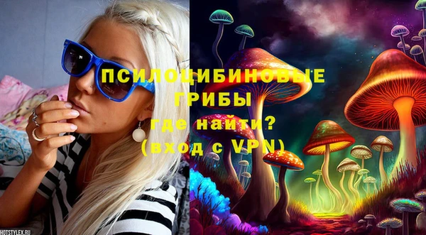 марки lsd Лабытнанги