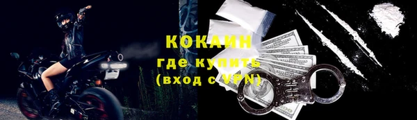 бошки Ладушкин