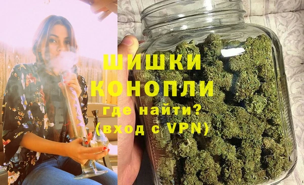 бошки Ладушкин