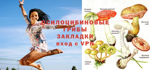 марки lsd Лабытнанги