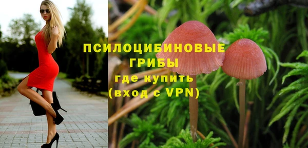бошки Ладушкин