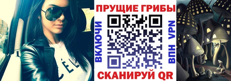Псилоцибиновые грибы Psilocybe  дарнет шоп  Шлиссельбург 